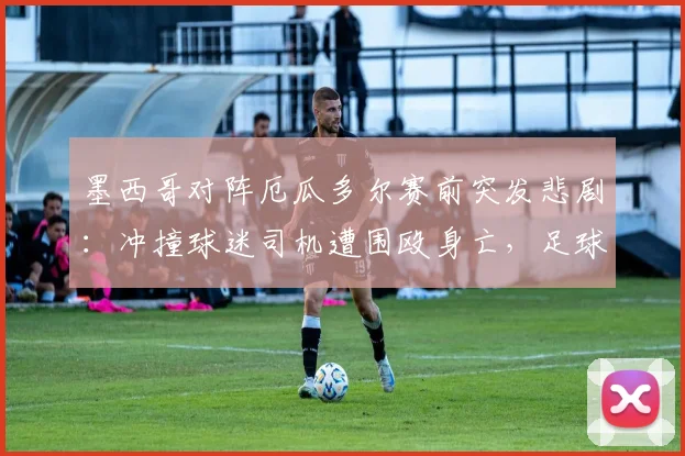 墨西哥对阵厄瓜多尔赛前突发悲剧:冲撞球迷司机遭围殴身亡,足球暴力再敲警钟